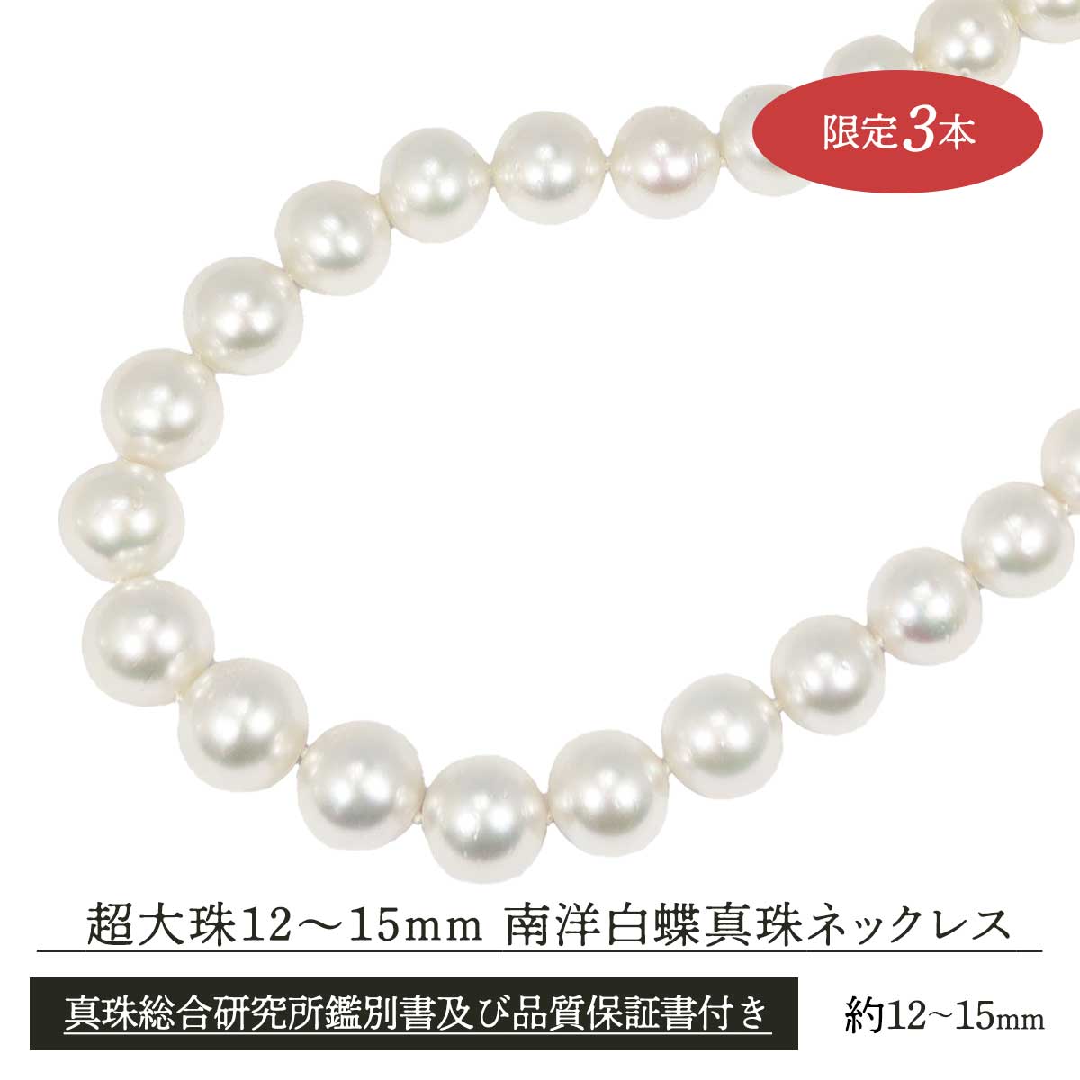 公式】 超大珠12～15mm南洋白蝶真珠ネックレス (ファッション) 商品 