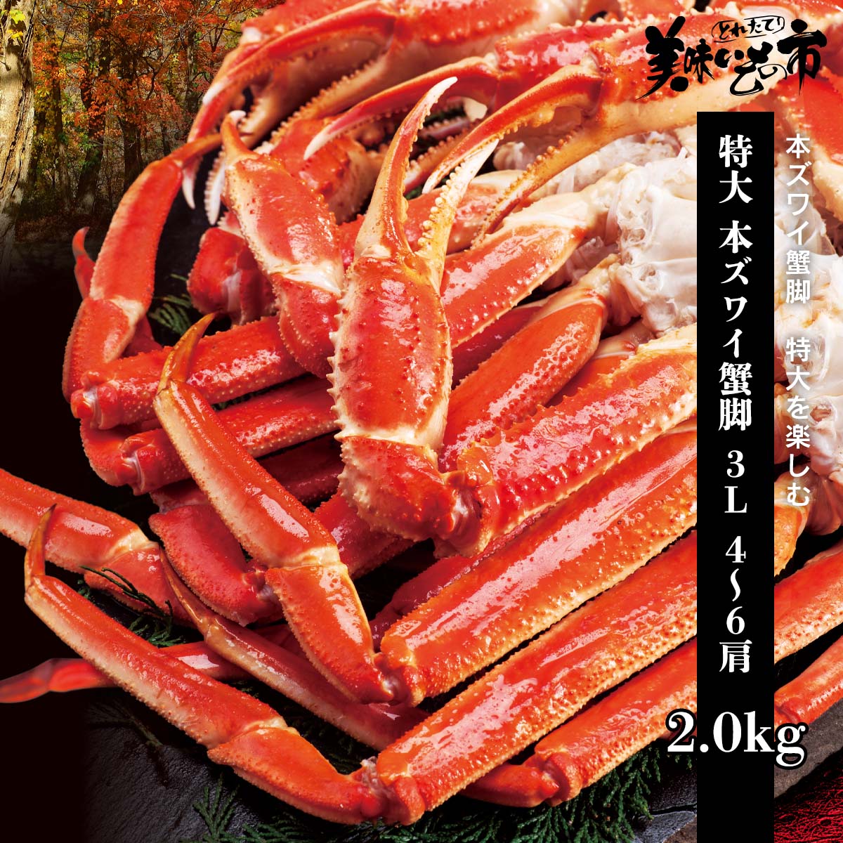公式】 【終】【完売】特大 本ズワイ蟹脚 3L 4～6肩 2.0kg (蟹)| とれ 