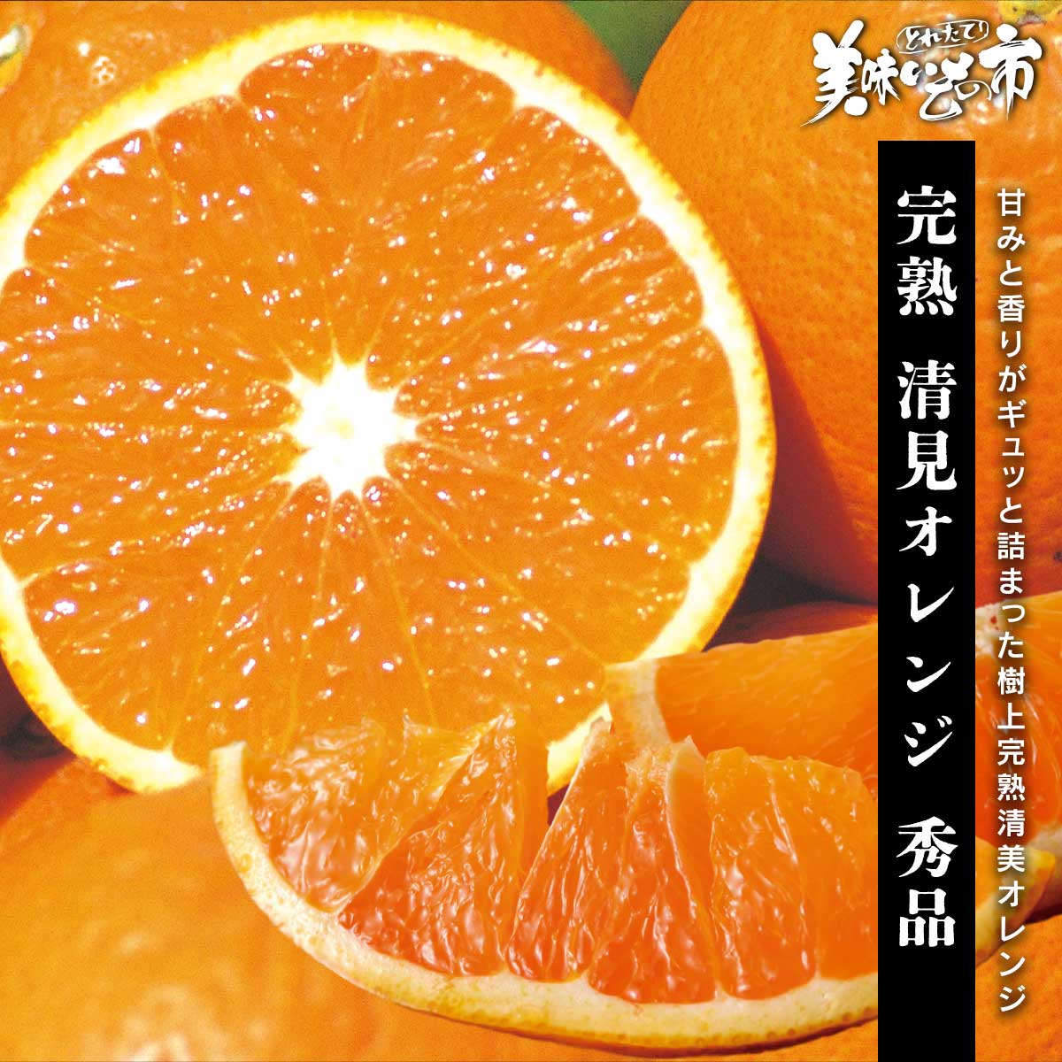 公式】 【終】【完売】【産地直送】完熟 清見オレンジ【予定販売数300 