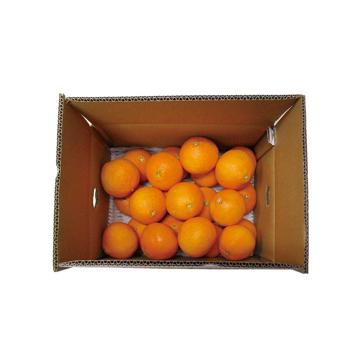 公式】 【終】【完売】【産地直送】完熟 清見オレンジ【予定販売数300 