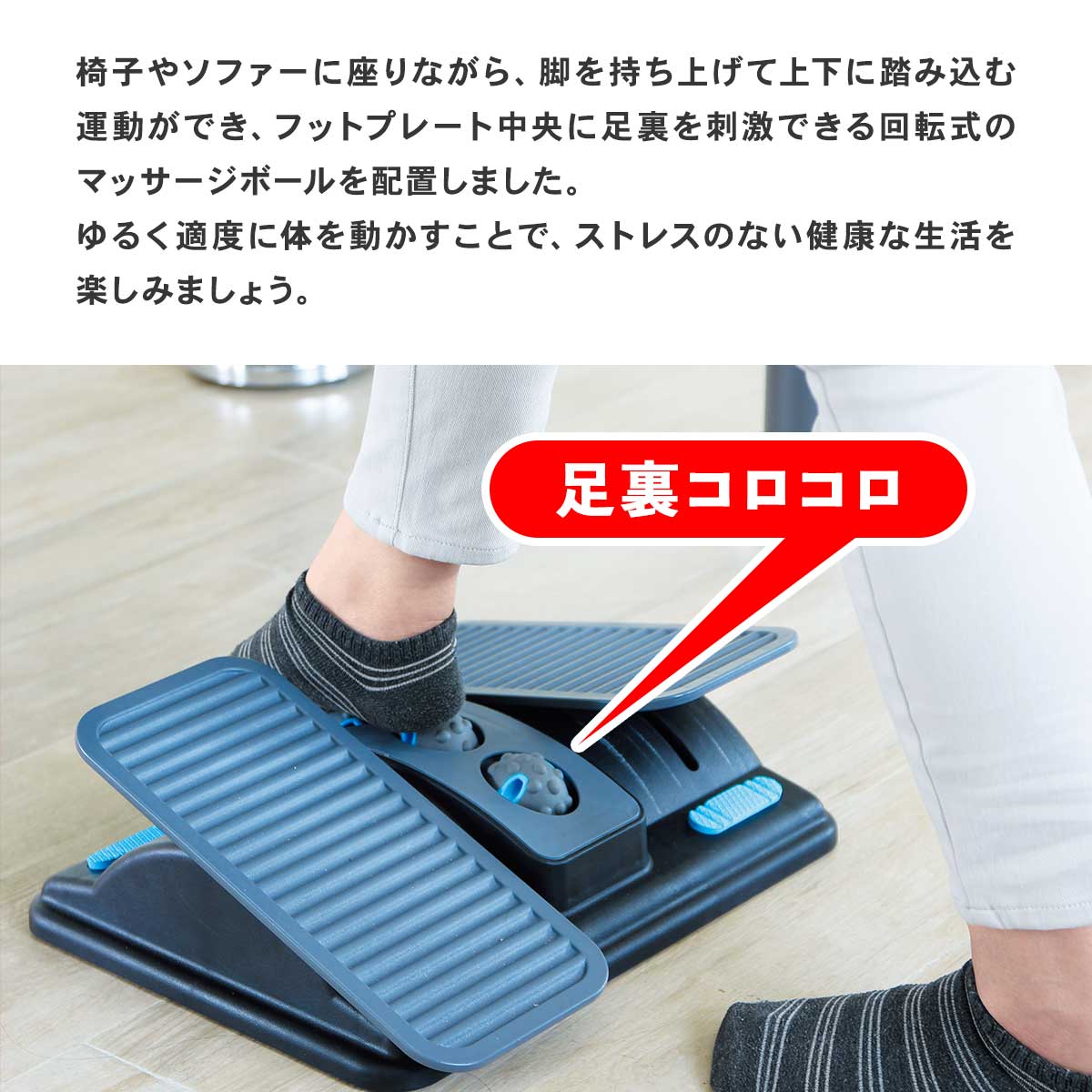 公式】 【完売】バランスワン ステッパータイプ フットレスト