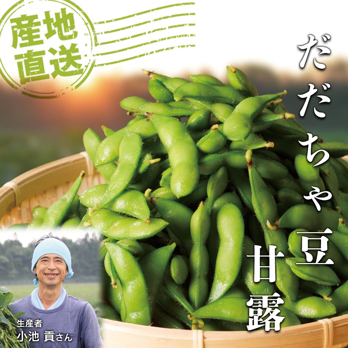 公式】 【終】【完売】【産地直送】だだちゃ豆 甘露 秀品 1kg 予定販売