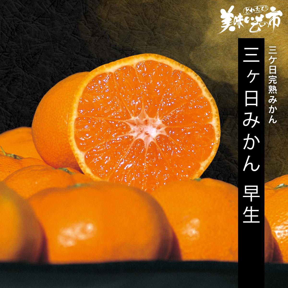 公式】 【終】【完売】【産地直送】三ケ日みかん 早生【予定販売数600