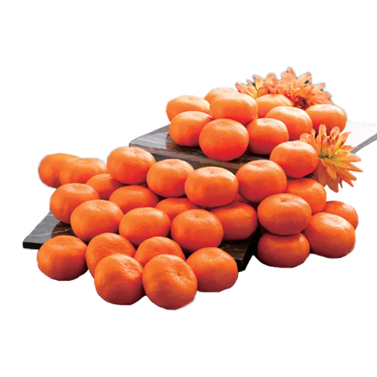 公式】 【終】【完売】【産地直送】三ケ日みかん 早生【予定販売数600