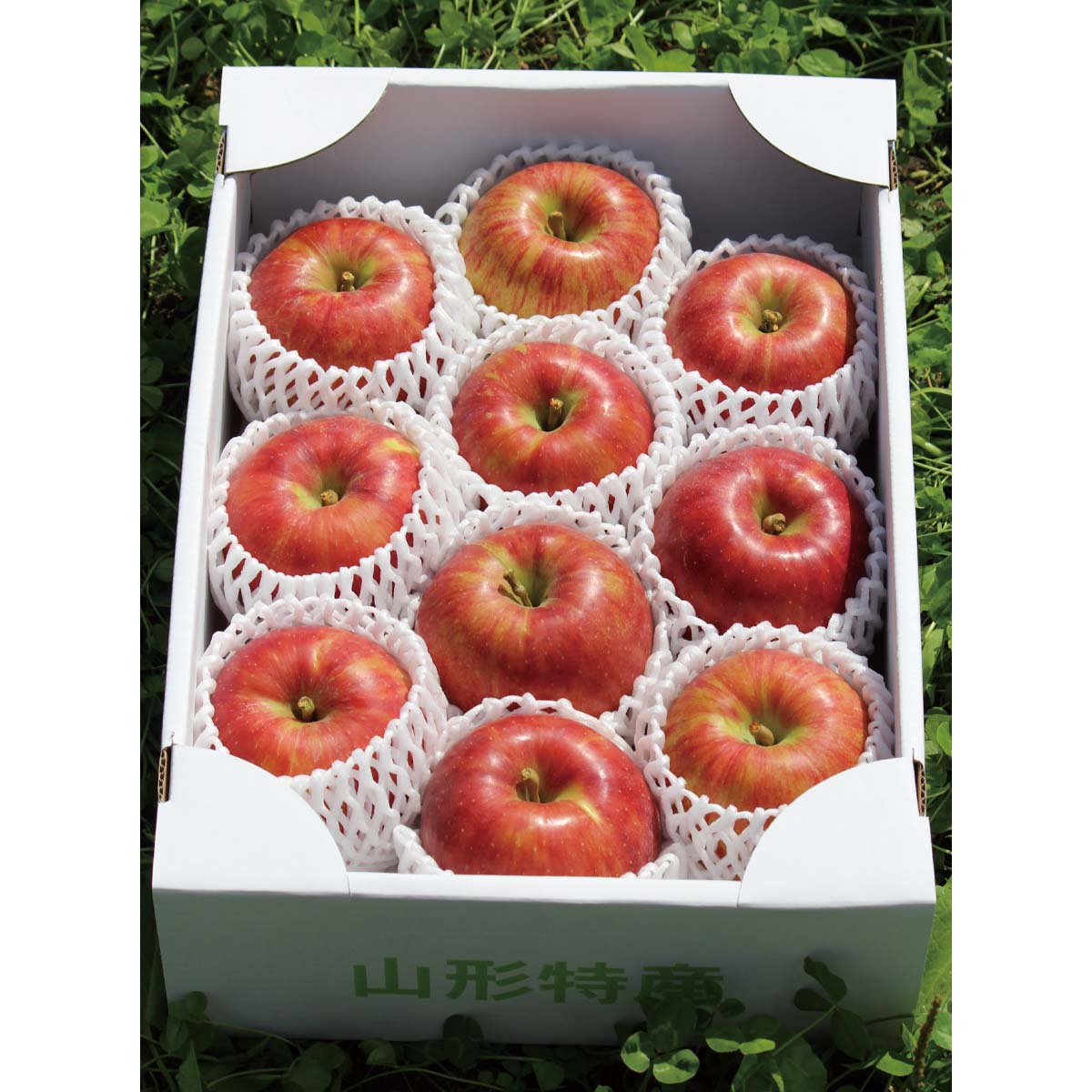 公式】 【終】【完売】【産地直送】山形 完熟サンつがる 【予定販売数