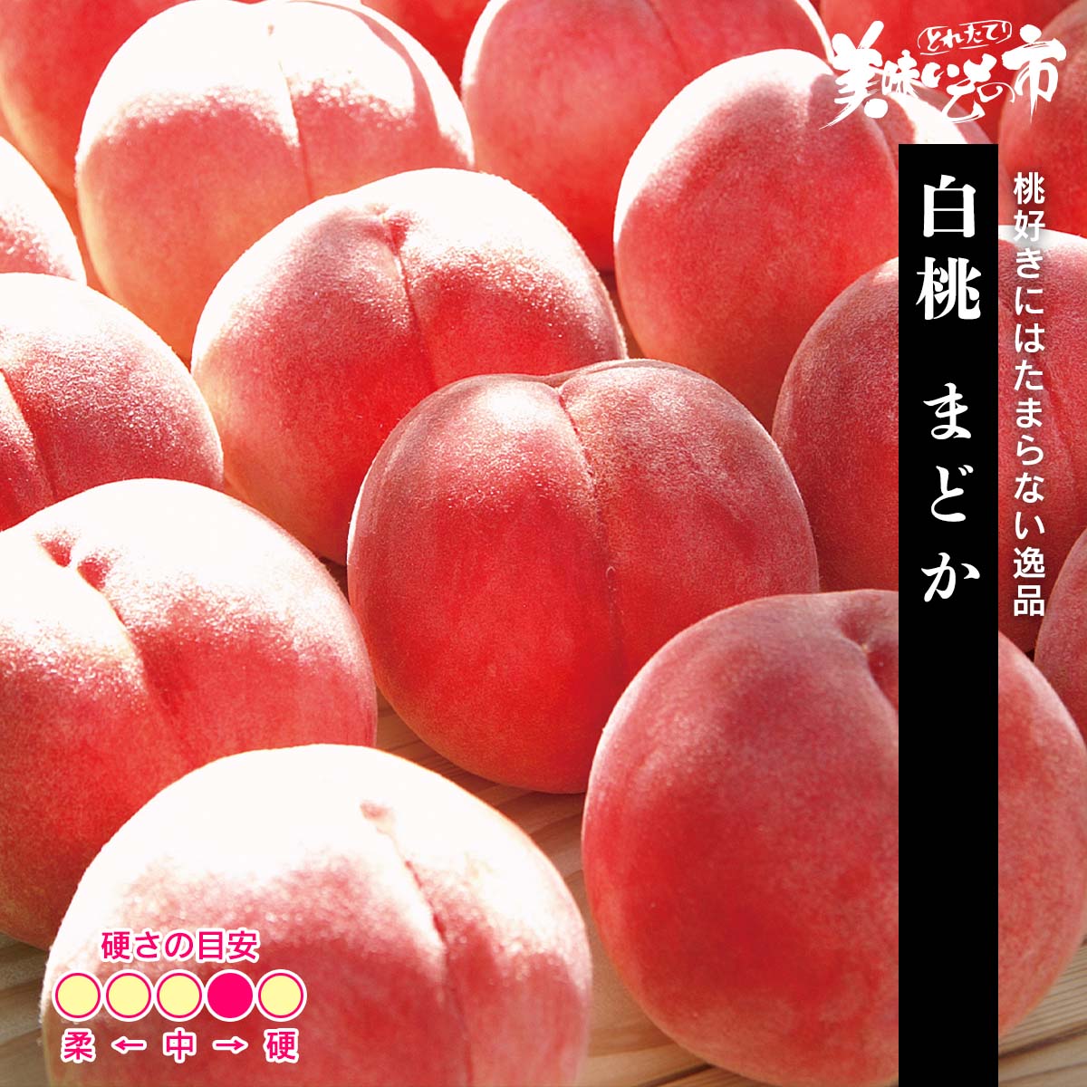 終】【完売】【産地直送】白桃 まどか 秀品 予定販売数800｜野菜