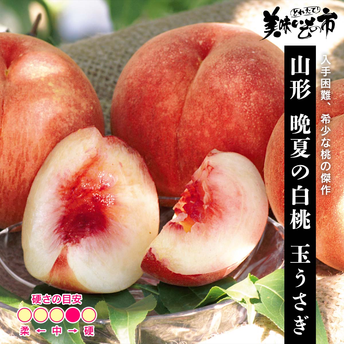 公式】 【終】【完売】【産地直送】山形 晩夏の白桃 玉うさぎ 秀品