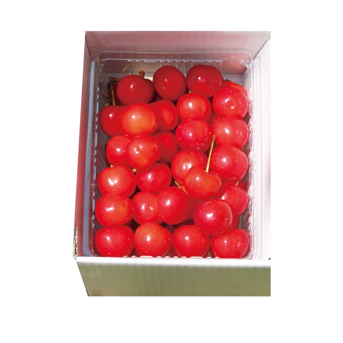 公式】 【終】【完売】【産地直送】佐藤錦「秀品」350g 予定販売数400