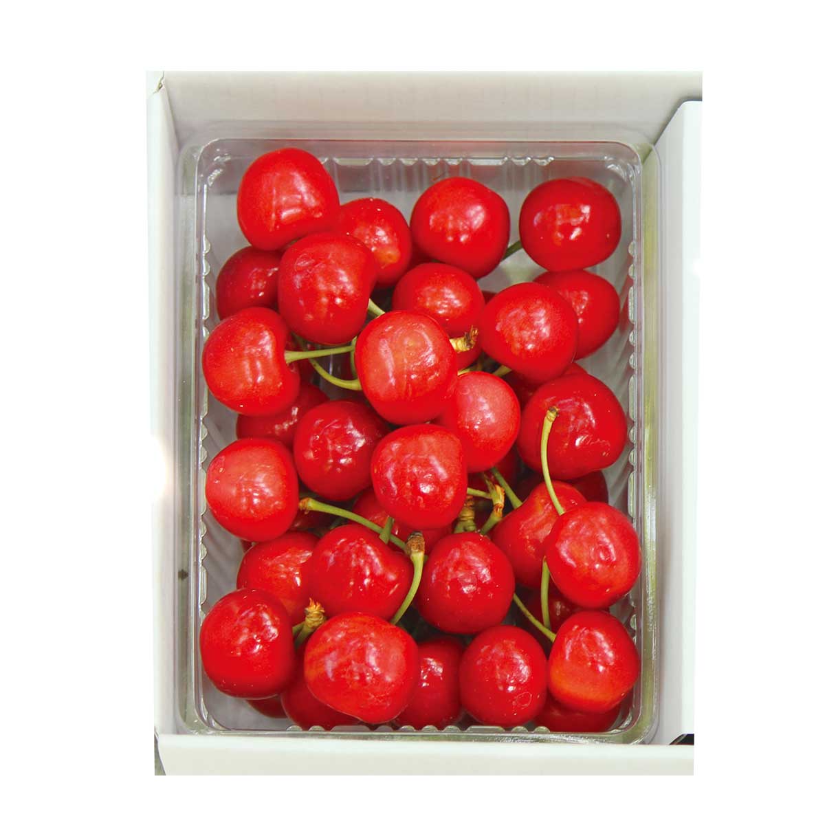 公式】 【完売】【産地直送】「紅秀峰」秀品 350g 予定販売数300