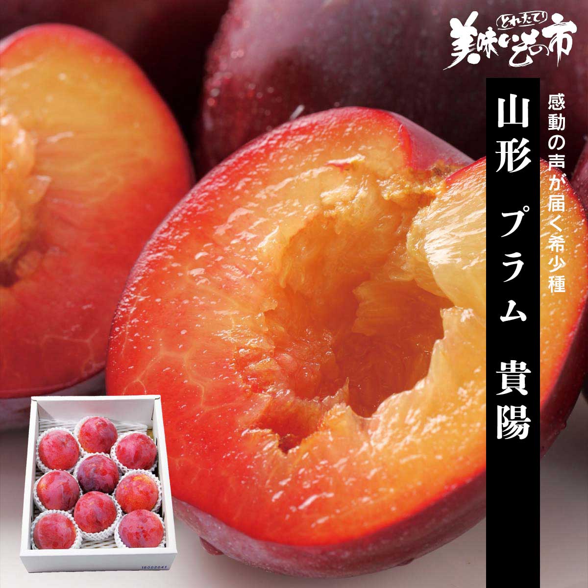 【公式】 【産地直送】山形 プラム 貴陽 予定販売数350 (野菜・くだもの(産地直送))| とれたて!美味いもの市 | アクセルクリエィ ...