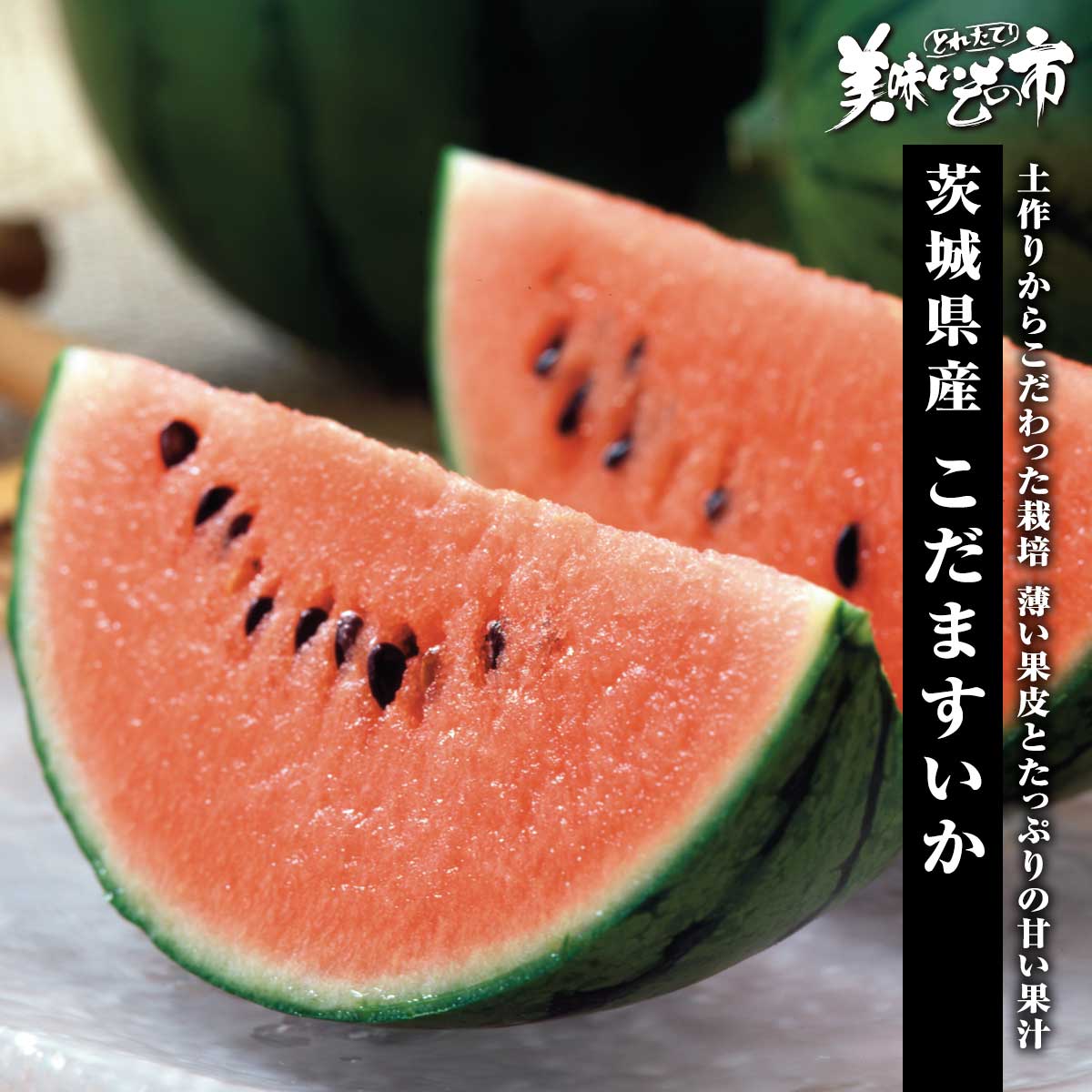 茨城県産　産地直送　小玉スイカ　約6~8kg　約12~17個　２箱分おまとめ 茨城県産産地直送小玉スイカ約6~8kg約12~17個2箱分おまとめ