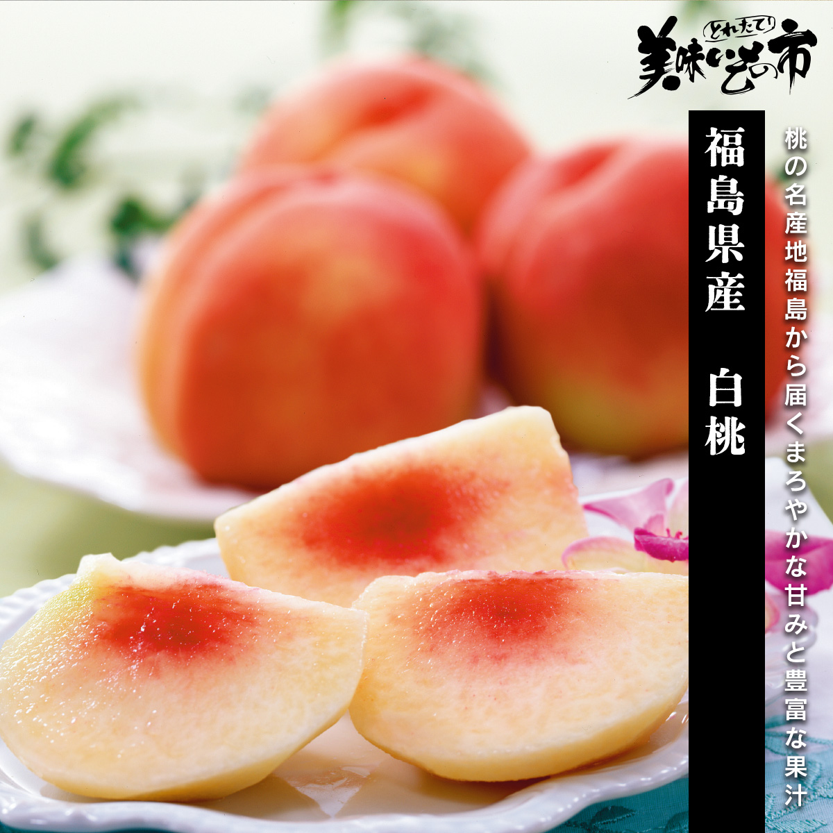 完売】【終】【産地直送】8月：福島の白桃｜野菜・くだもの(産地直送