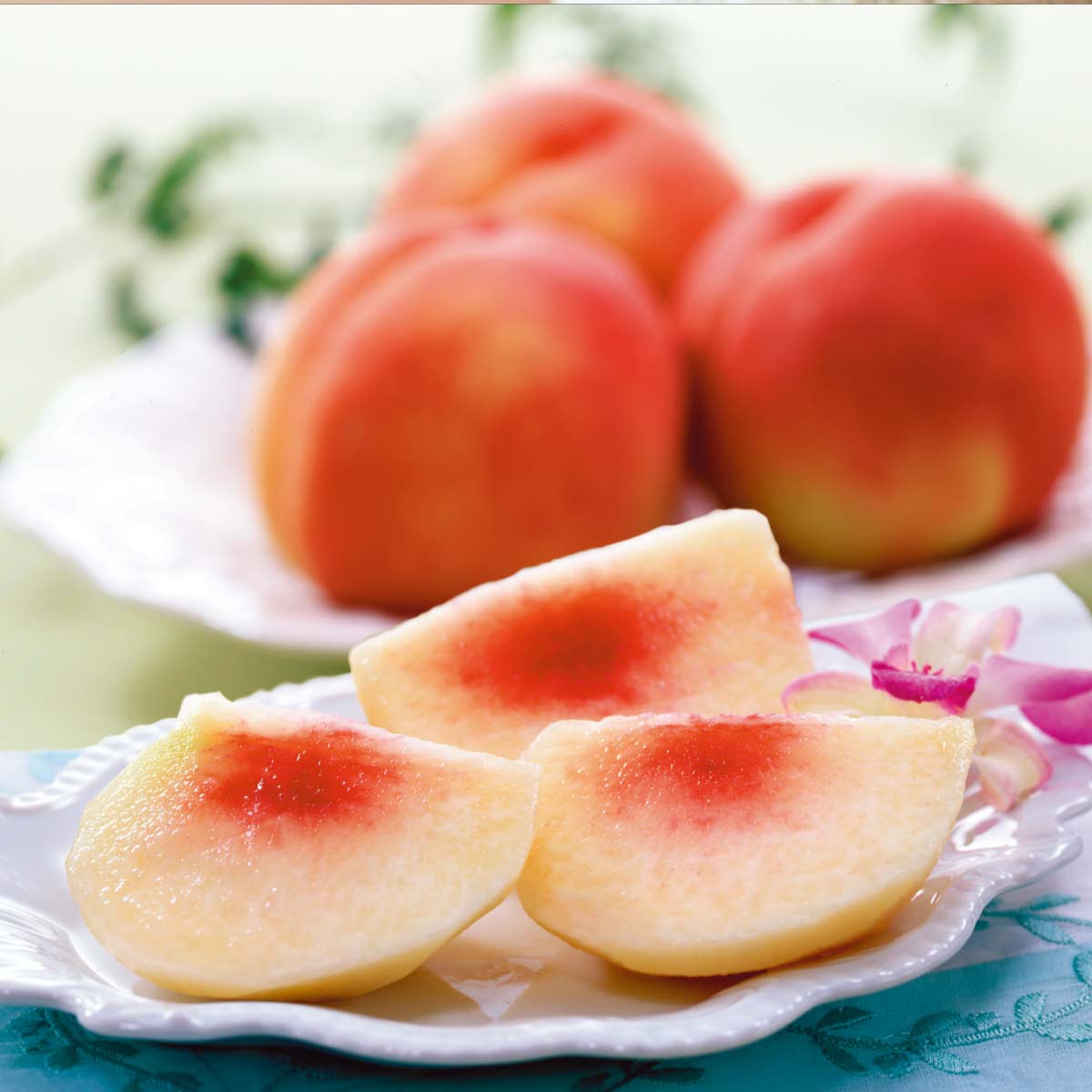 完売】【終】【産地直送】8月：福島の白桃｜野菜・くだもの(産地直送