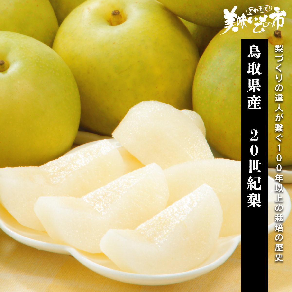 鳥取県産二十世紀梨 鳥取県産 二十世紀梨 5kg (14～18玉): 全農とっとり JAタウン店|【JA