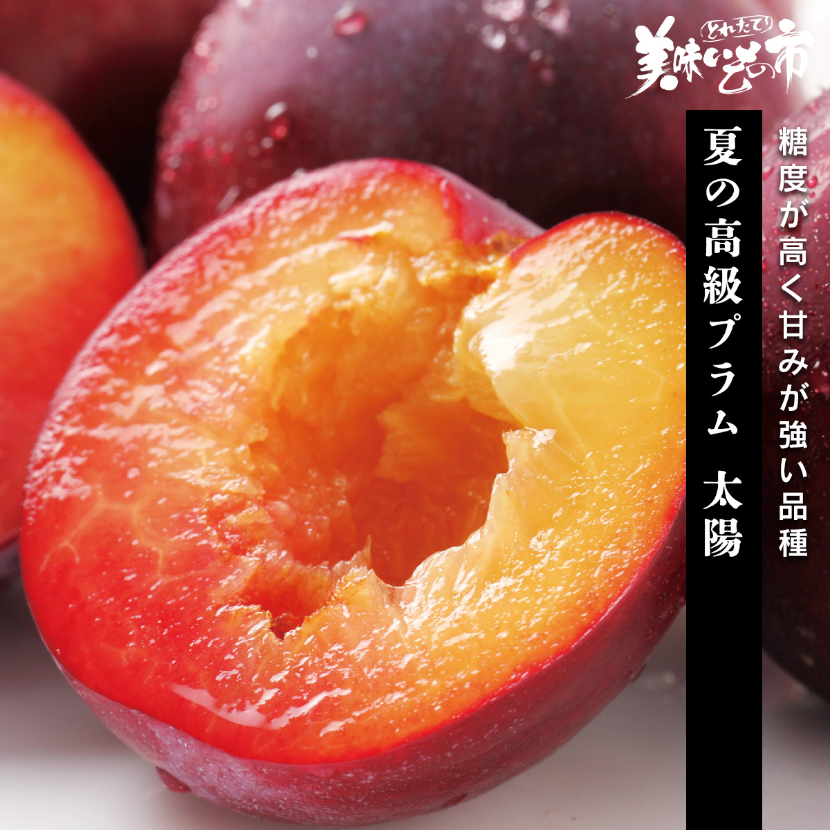 公式】 【終】【完売】【産地直送】夏の高級プラム 太陽 予定販売数300