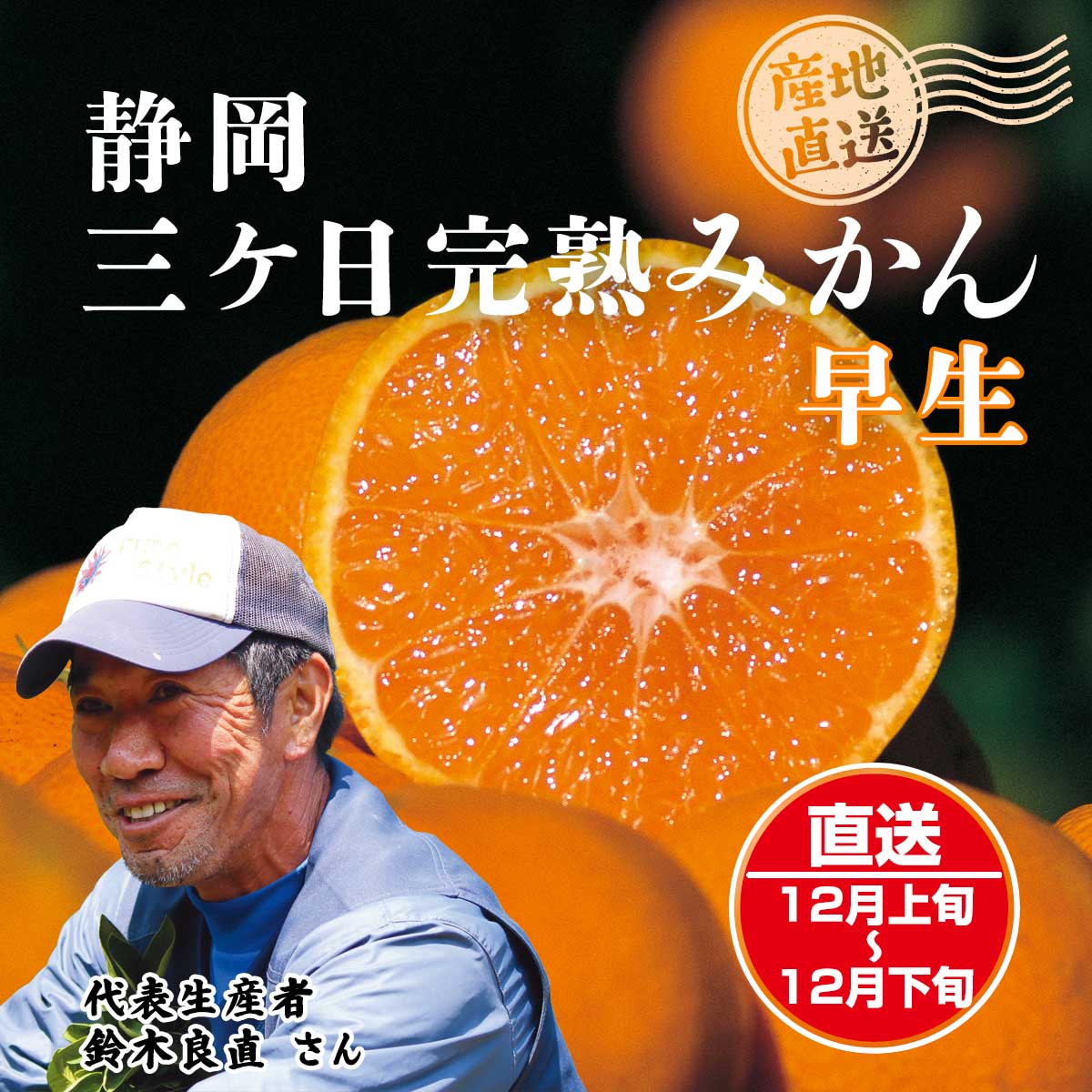 公式】 【完売】【産地直送】三ケ日 みかん 早生【予定販売数500