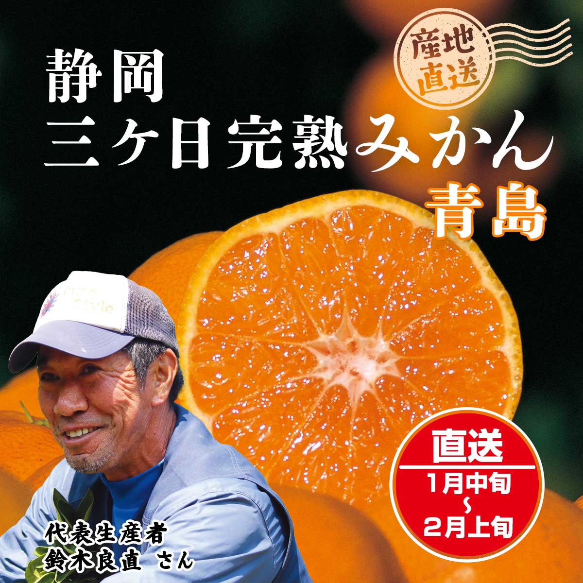 公式】 【産地直送】三ケ日 みかん 青島【予定販売数500】 (野菜
