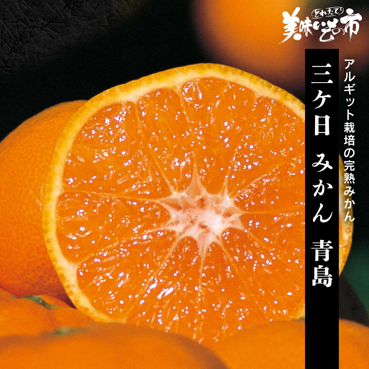 ［即購入可］さん専用商品 公式】 【産地直送】三ケ日 みかん 青島【予定販売数500】 (野菜
