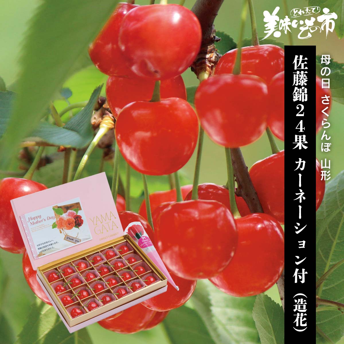 公式】 【終】【完売】【産地直送】母の日 さくらんぼ 山形 佐藤錦24果