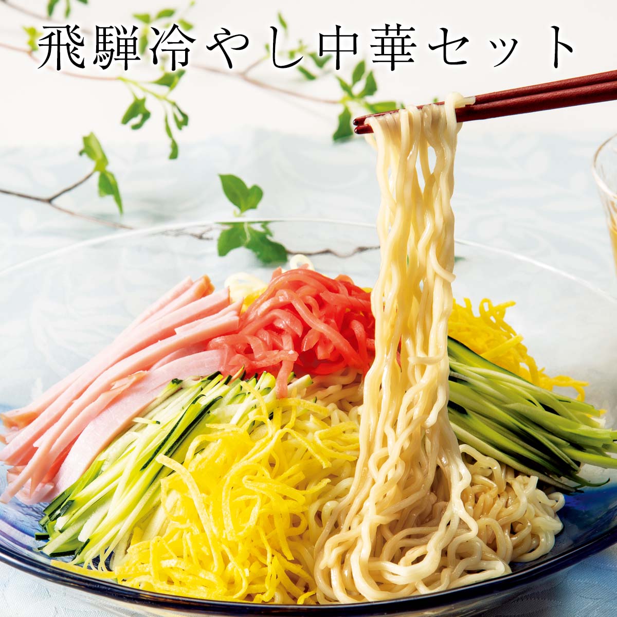 公式】 【訳あり】飛騨冷やし中華セット 10食入 (パン・ごはん・めん