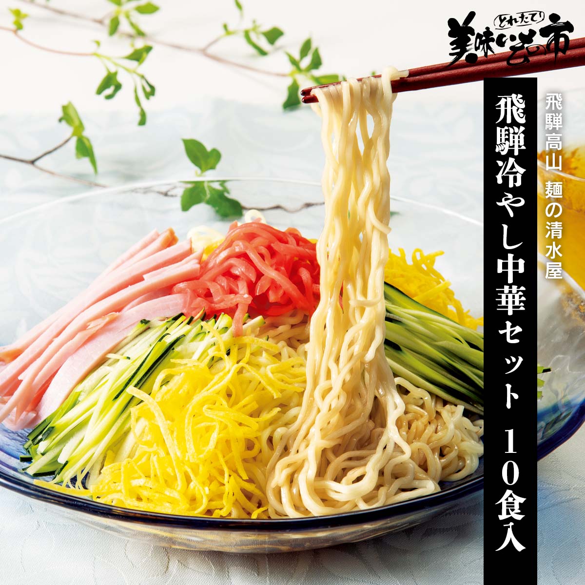 ばやしライス　まとめ売り出品 公式】 【訳あり】飛騨冷やし中華セット 10食入 (パン・ごはん・めん