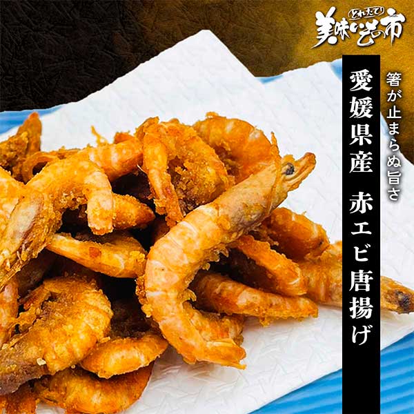 公式】イカ・タコ・エビ | とれたて！美味いもの市 | アクセル