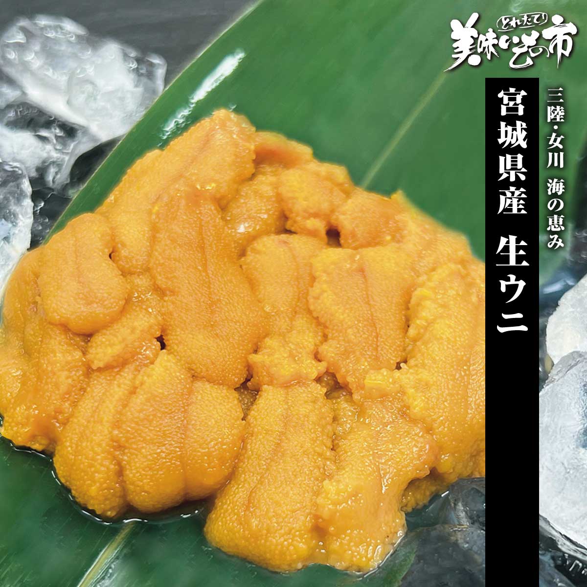 ウニ様確認用 uni様確認用 ウニ様確認用 うに様○確認用 UNI様 ご