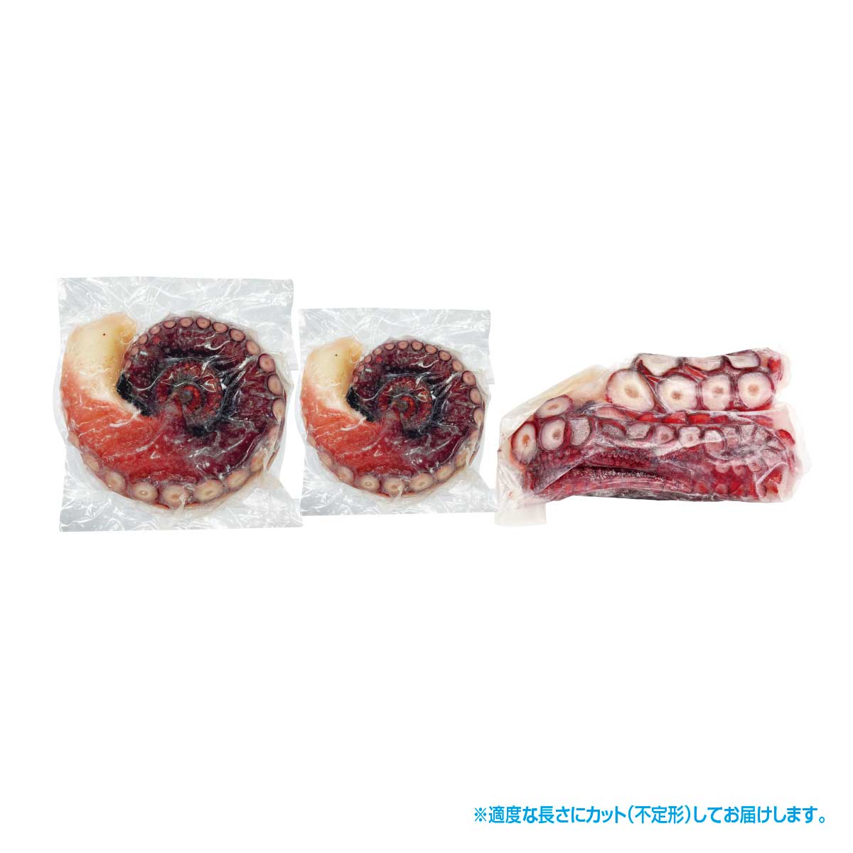 公式】 北海道 極太たこ脚 1kg（ボイル） (イカ・タコ・エビ)| とれた