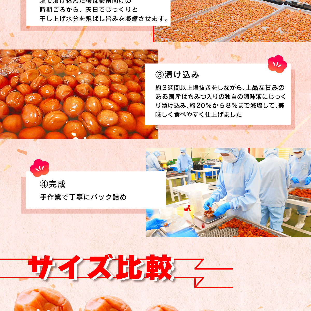 南高梅　小梅　7キロミュウ君 楽天市場】じゅんちゃんの 紀州南高梅 完熟 はちみつ梅 1kg みなべ産