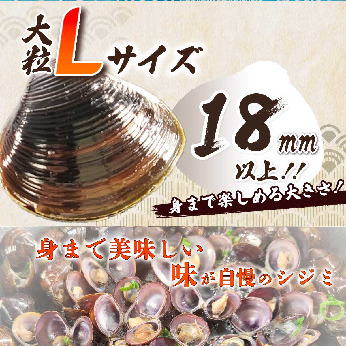 公式】 青森・小川原湖漁協 大粒L サイズのシジミ 大漁 1.5kg (貝
