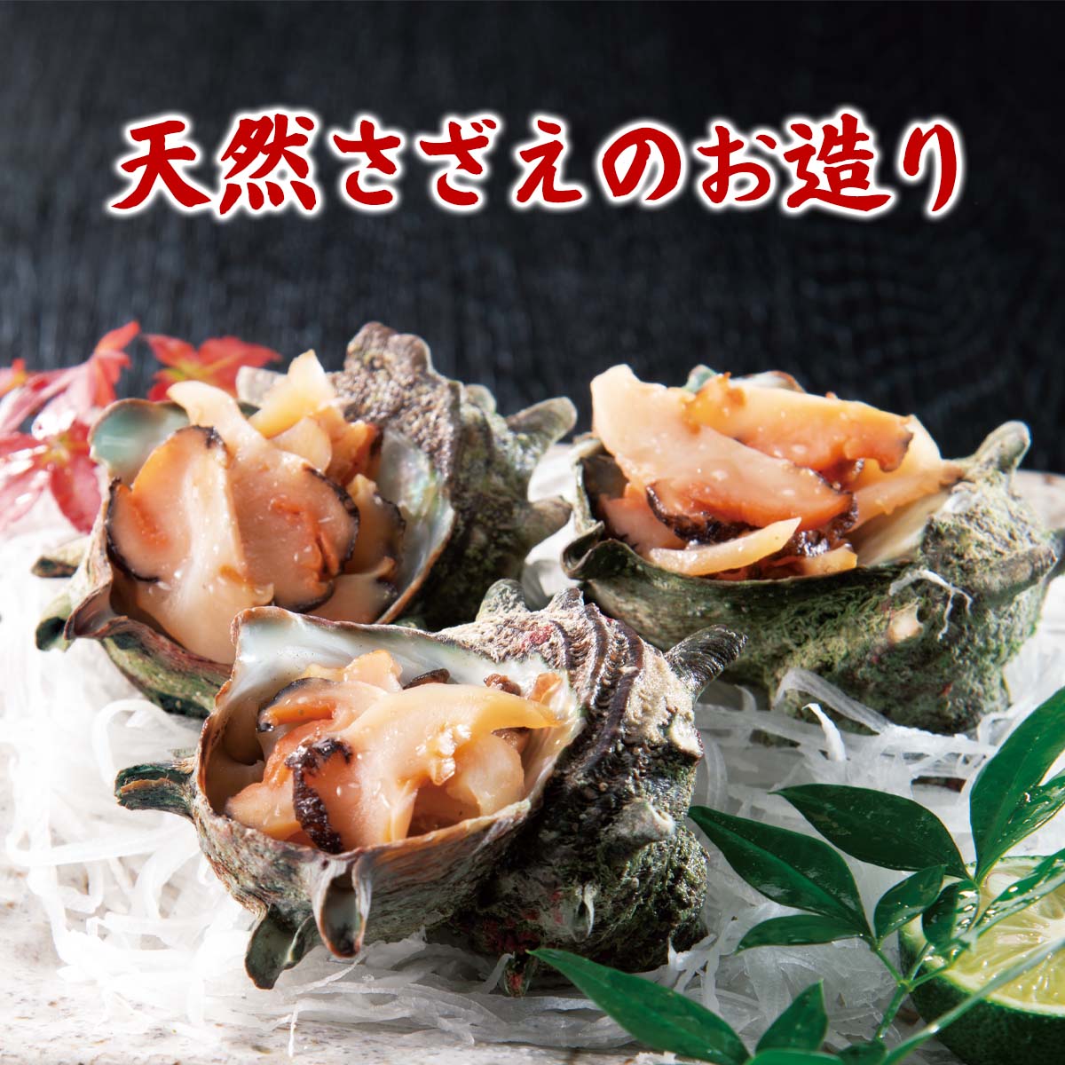 公式】 天然さざえのお造り (貝)| とれたて！美味いもの市 | アクセル