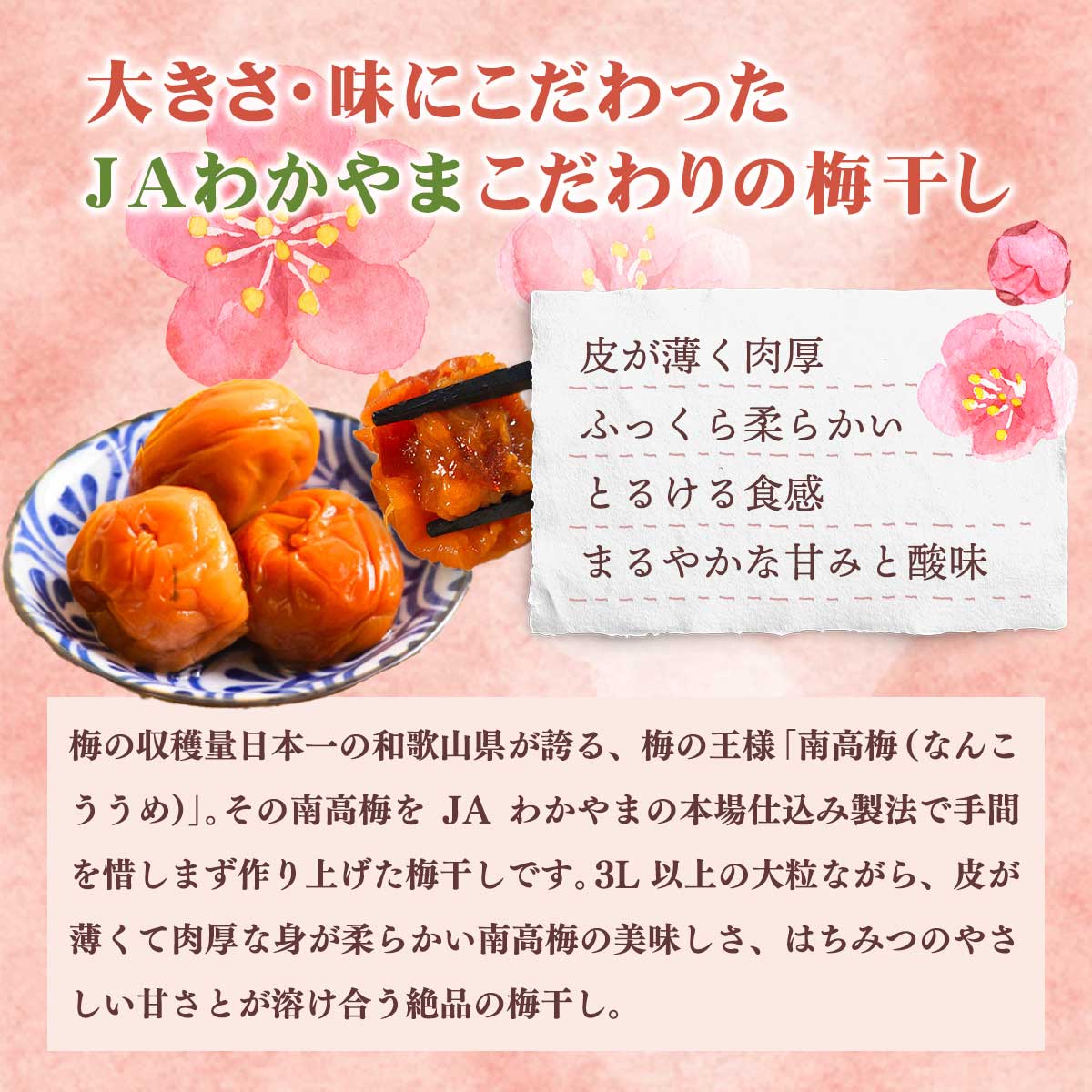 公式】 JAわかやま 南高梅 はちみつ梅干し（3L以上) (漬け物・佃煮