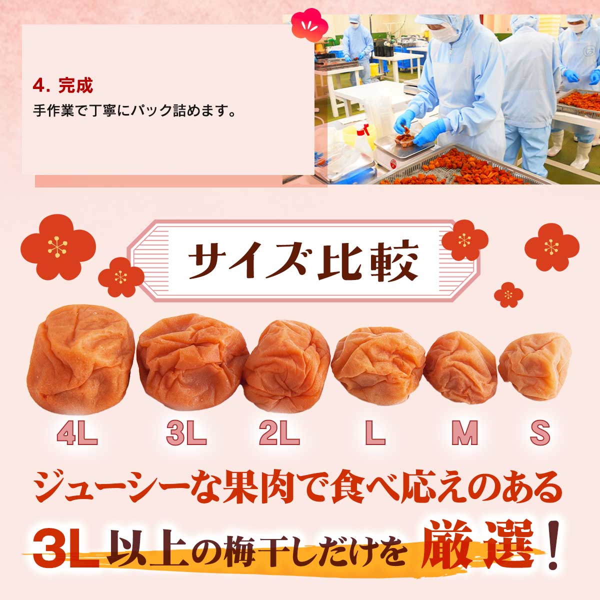 公式】 JAわかやま 南高梅 はちみつ梅干し（3L以上) (漬け物・佃煮