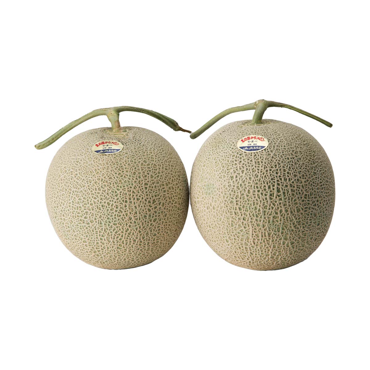 公式】 【終】【完売】【産地直送】富良野メロン 特大サイズ 秀品