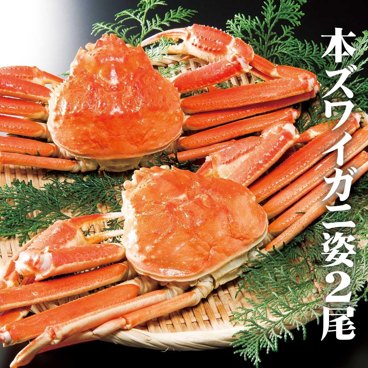 公式】 【完売】【終】本ズワイ蟹姿2尾 (蟹)| とれたて！美味いもの市