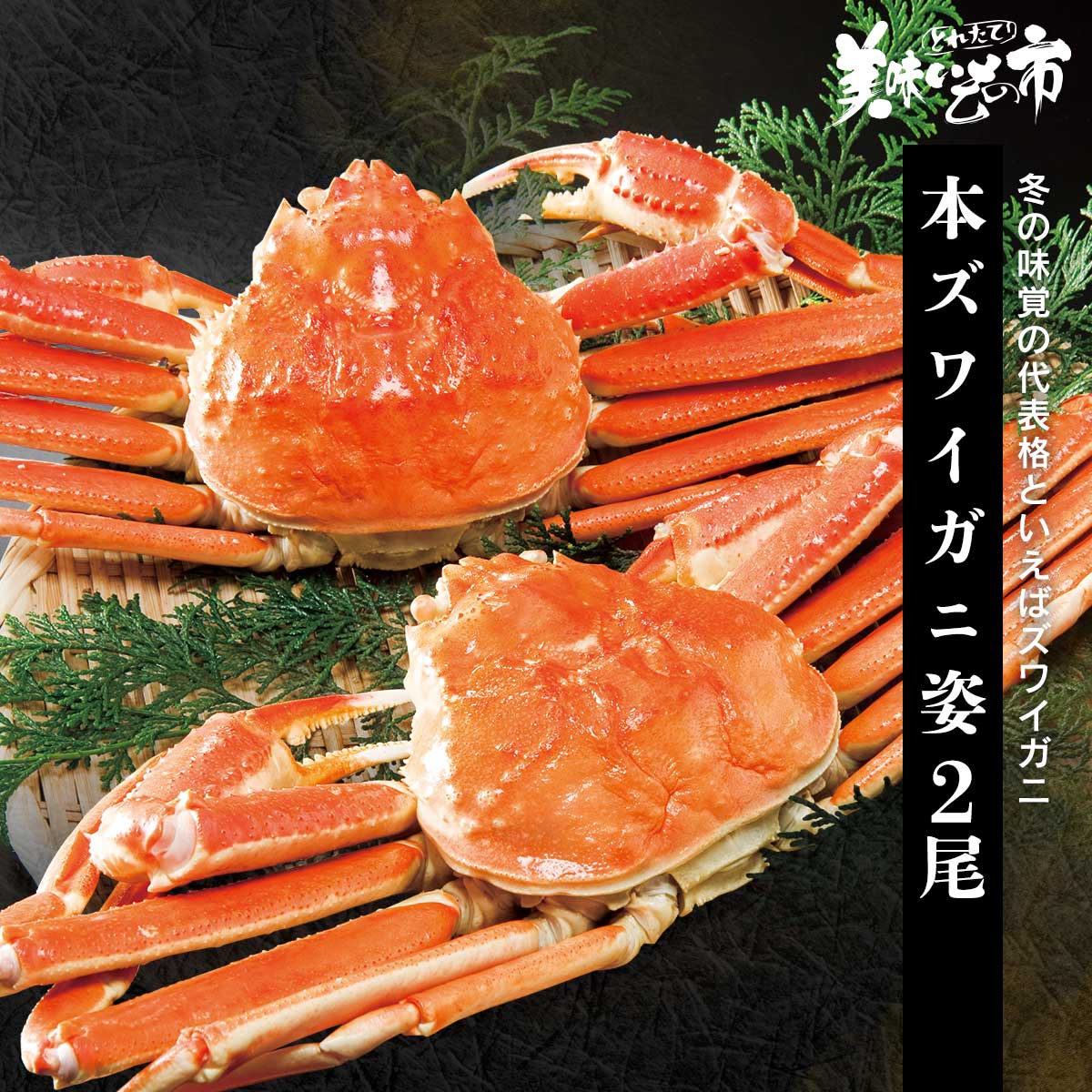 ガニアシ顆粒　超越二重奏 Amazon | ガニアシ顆粒 90g | GANIASHI | 食物繊維