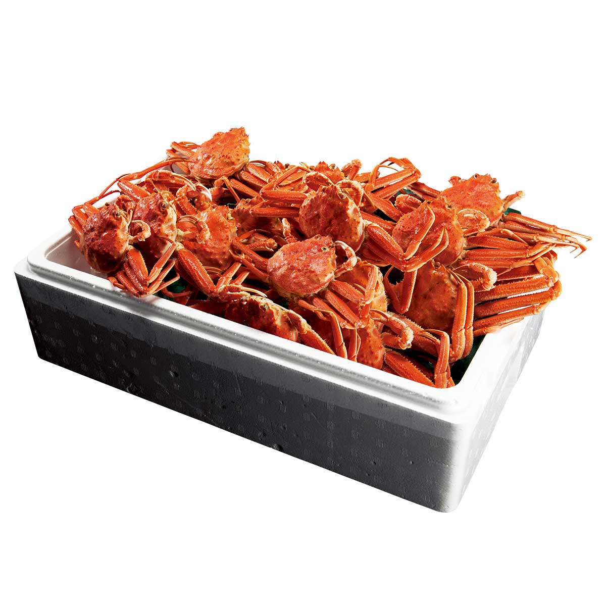 公式】 【終】【完売】北海道産オオズワイガニ オスメス食べ比べ 総