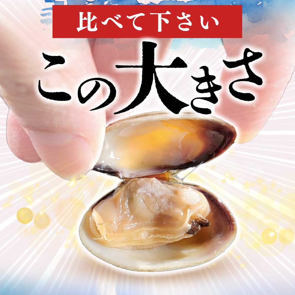 公式】 北海道・厚岸漁協、天然のブランドあさり (貝)| とれたて