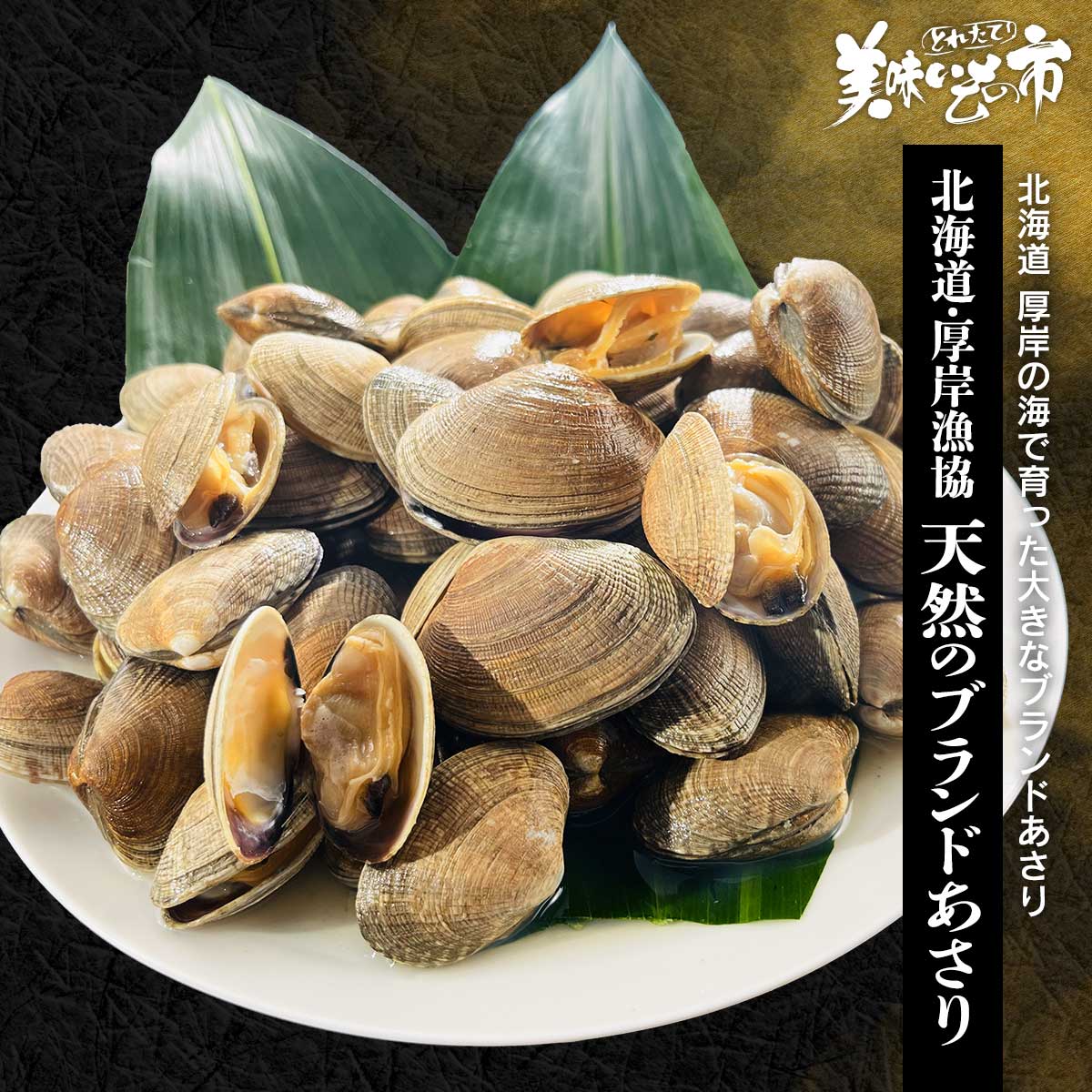 公式】 北海道・厚岸漁協、天然のブランドあさり (貝)| とれたて