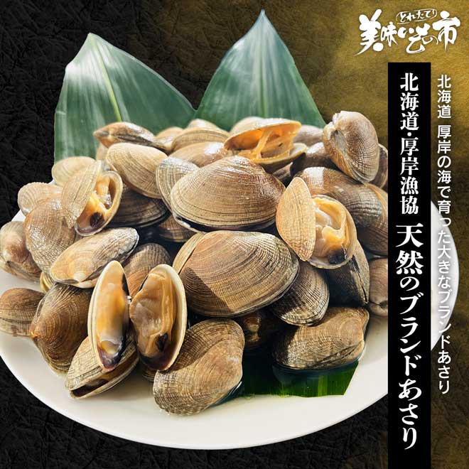 あさり 公式】 北海道・厚岸漁協、天然のブランドあさり (貝)| とれたて