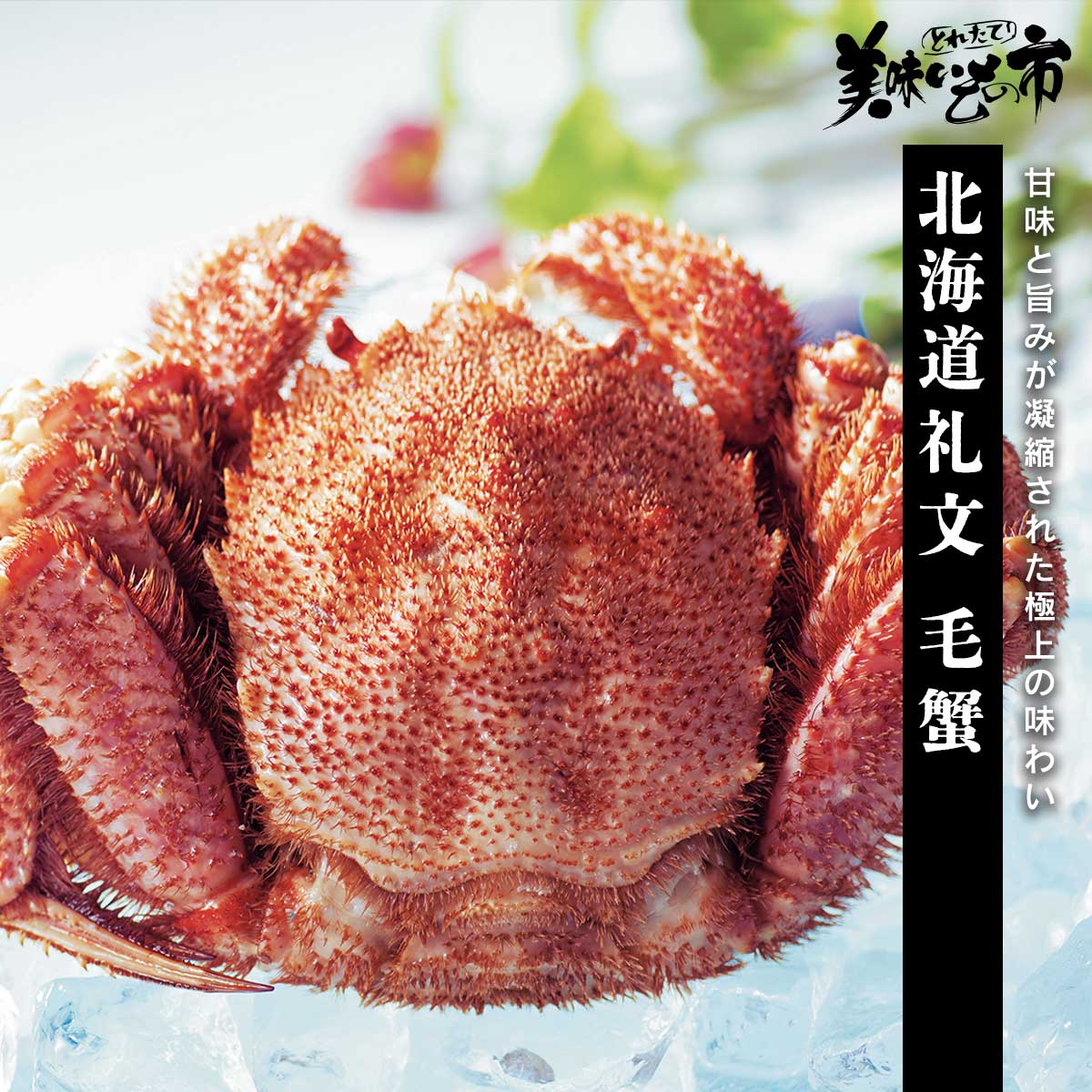 公式】 【終】【完売】北海道礼文 毛蟹 (蟹)| とれたて！美味いもの市