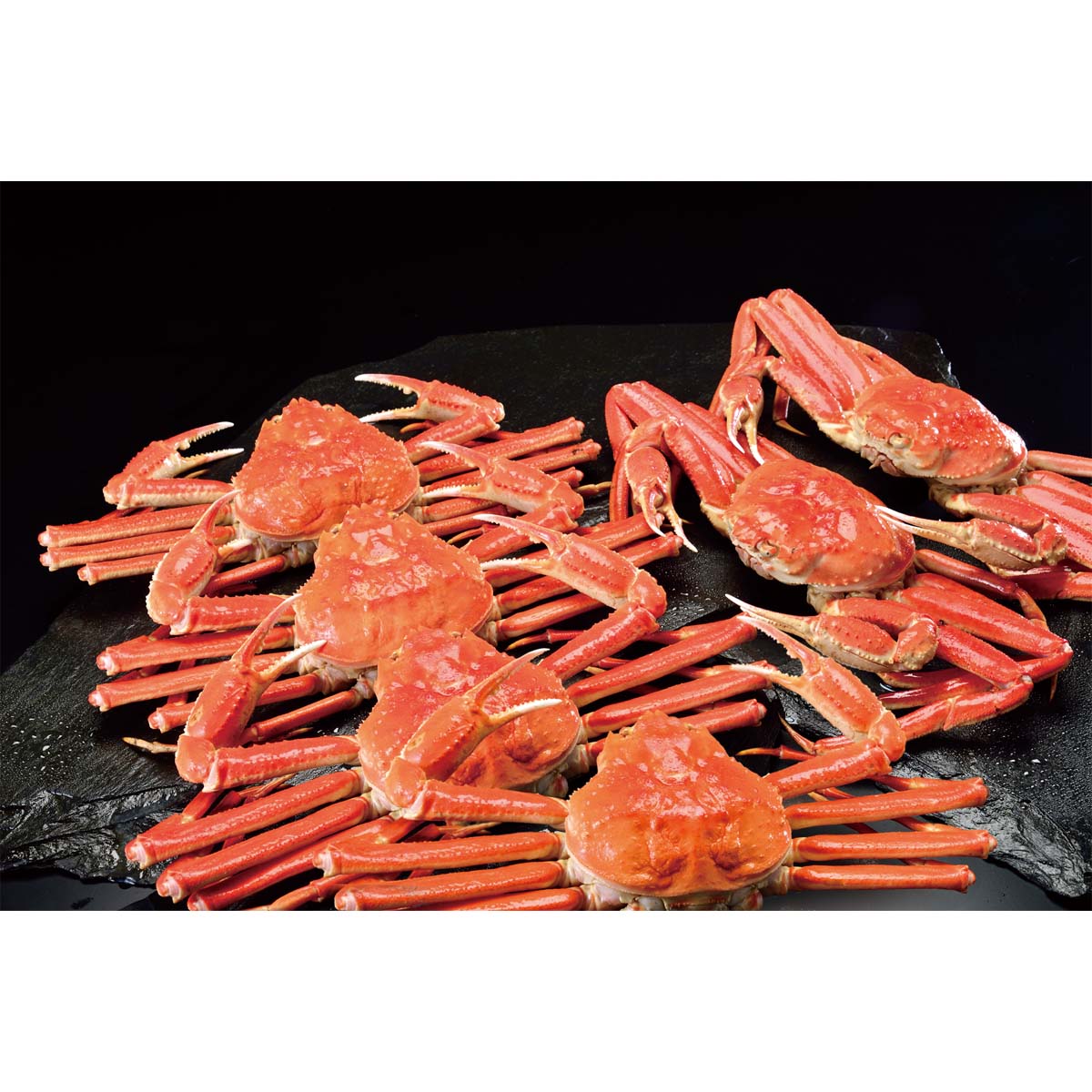 販売終了】特盛 本ズワイ蟹姿 6尾 約3.5kg｜蟹の通販 とれたて！美味い