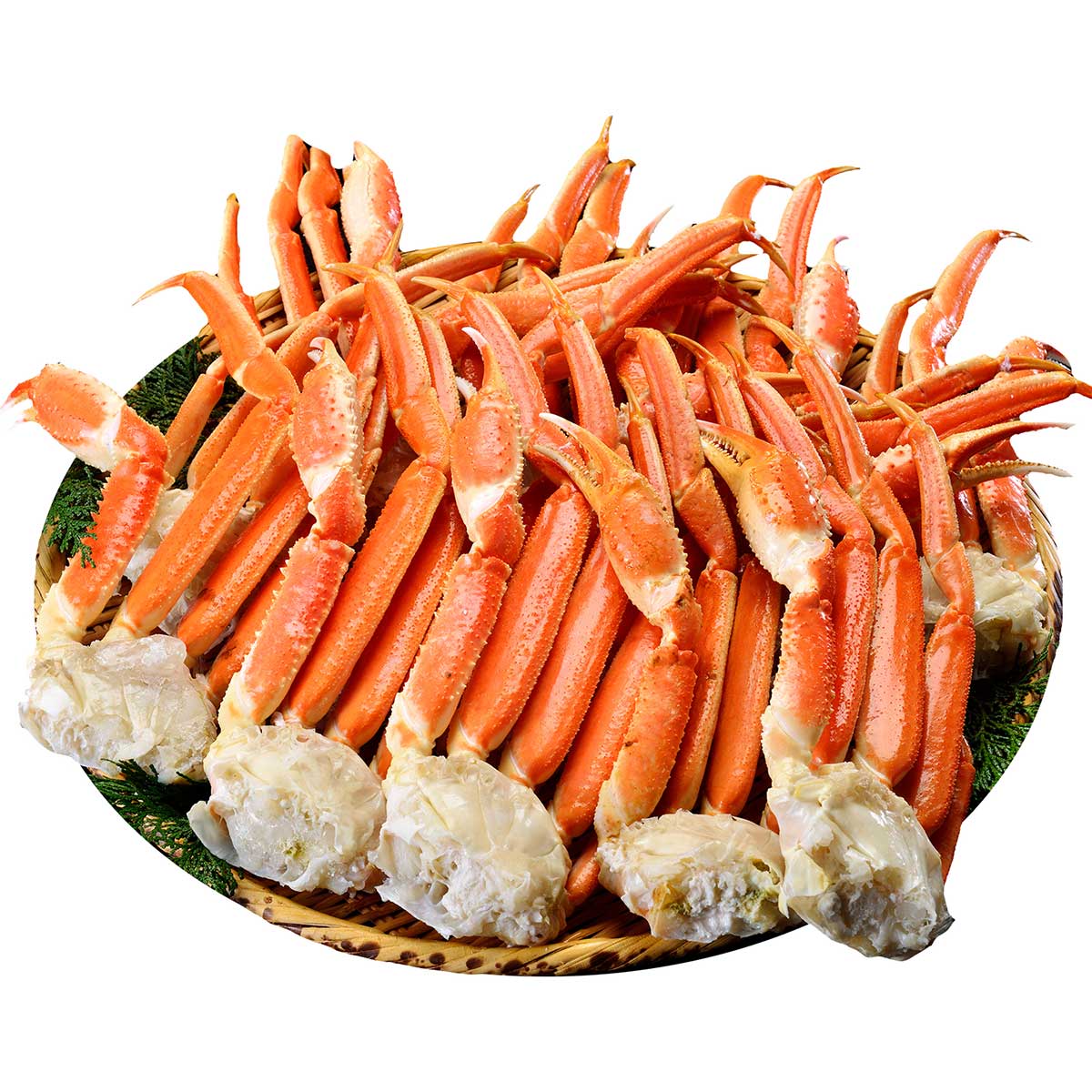 ゆうゆうせん専用ページ　カニトップ３箱 公式】 特盛 MLサイズ本ズワイ蟹脚 総重量3.0kg 14～16肩 (蟹