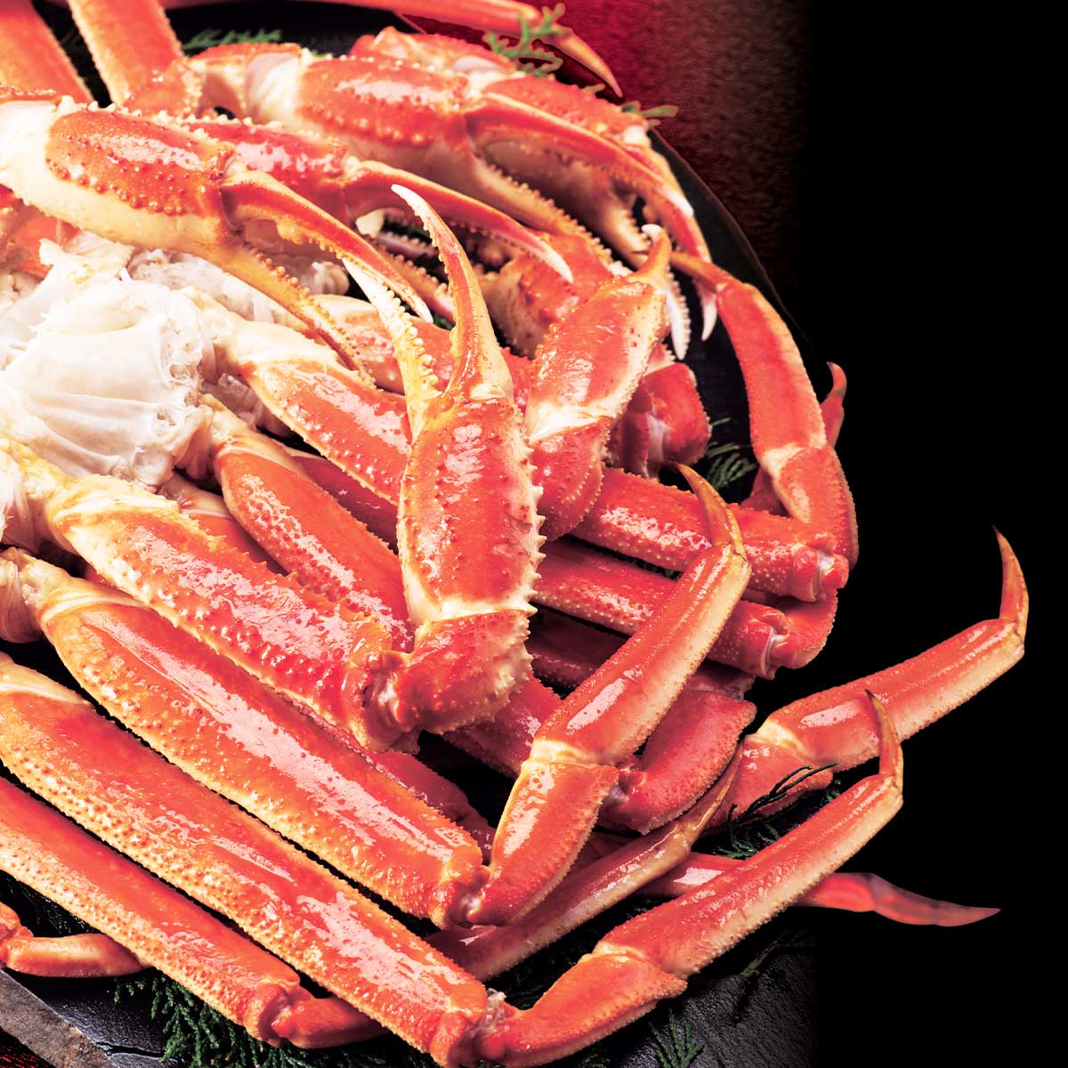 公式】 特大 3Lサイズ 本ズワイ蟹脚 総重量1.0kg 2～3肩 (蟹)| とれた