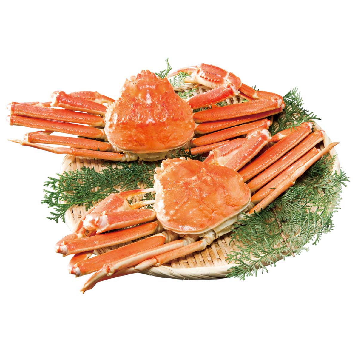 公式】 特撰 本ズワイガニ姿 2尾 (ギフト)| とれたて！美味いもの市