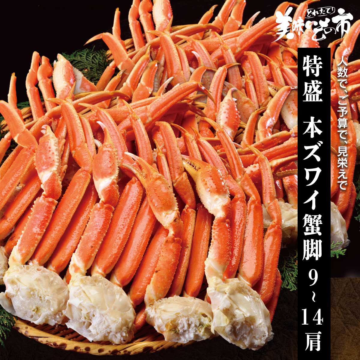公式】 特盛 MLサイズ 本ズワイ蟹脚 総重量2.5kg 9～14肩（ボイル