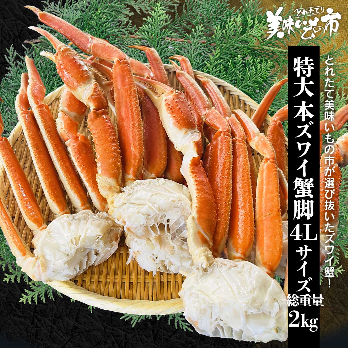 公式】 本ズワイ蟹脚 総重量2.0kg 4～5肩 (蟹)| とれたて！美味いもの