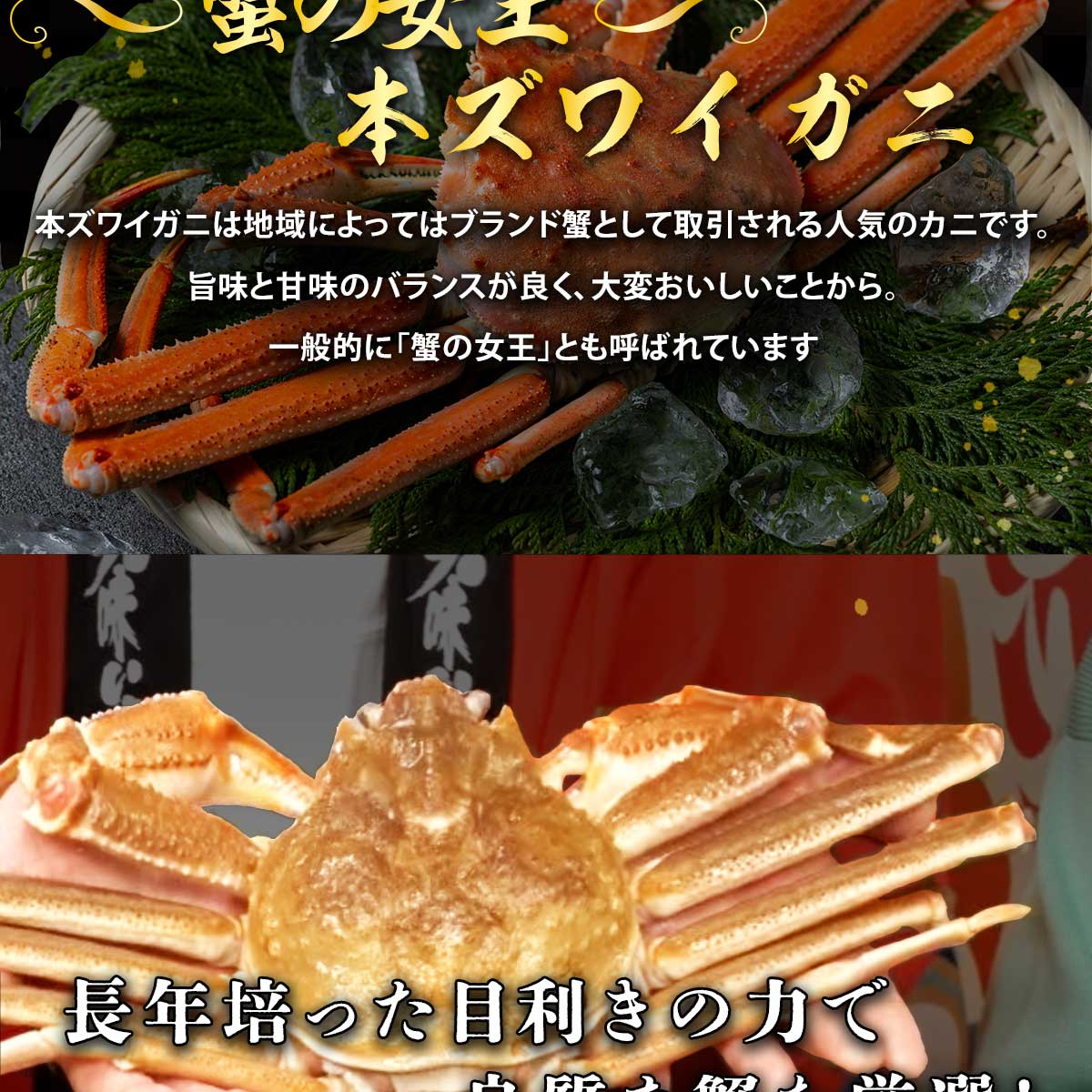 公式】 生ズワイガニ 特盛4袋セット 総重量1.5kg (蟹)| とれたて