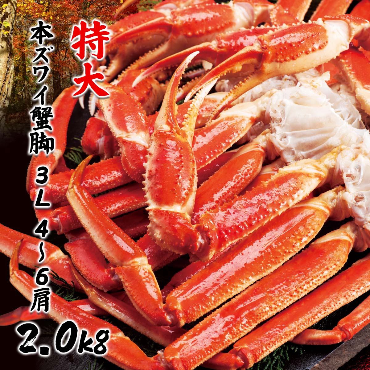 公式】 【終】【完売】特大 本ズワイ蟹脚 3L 4～6肩 2.0kg (蟹)| とれ