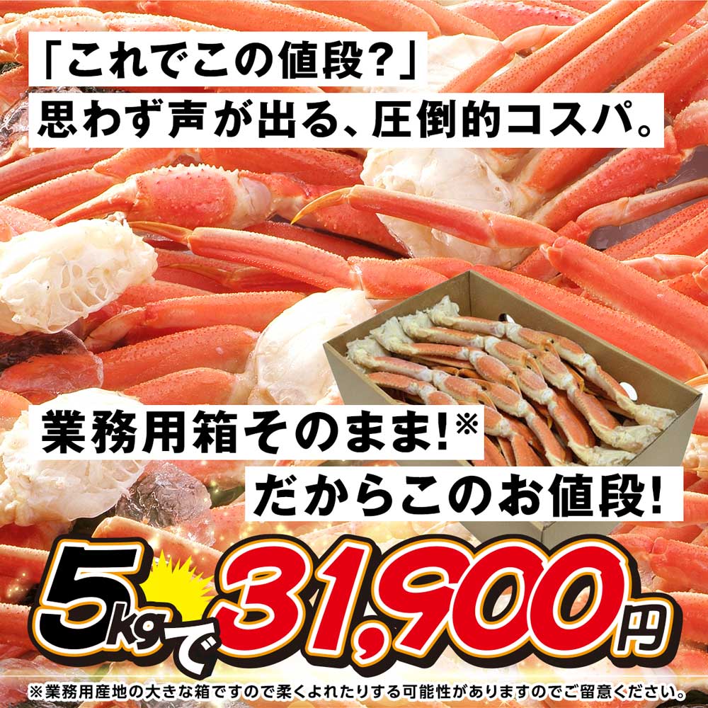 公式】 特大5Lサイズ 本ズワイ蟹脚 総重量5.4kg 12～15肩（WEB限定